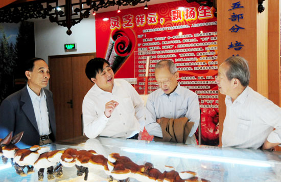 图片关键词