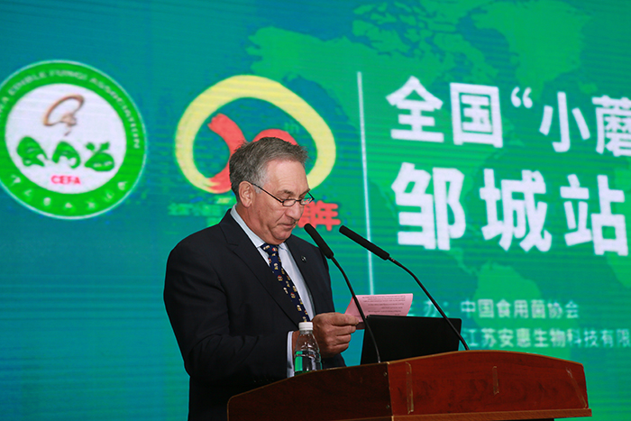 安惠国际老总_国际象棋